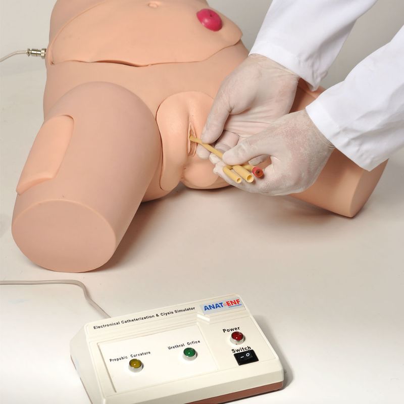 simulador-para-cateterizacao-bissexual-anatomic-com-dispositivo-controle....centermedical.com.br
