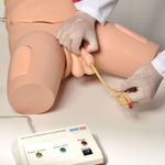 simulador-para-cateterizacao-bissexual-anatomic-com-dispositivo-controle.....centermedical.com.br