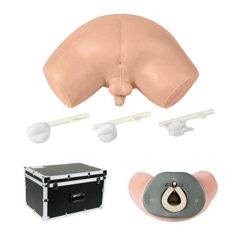 Simulador-de-Exame-de-Prostata-Center-Medical