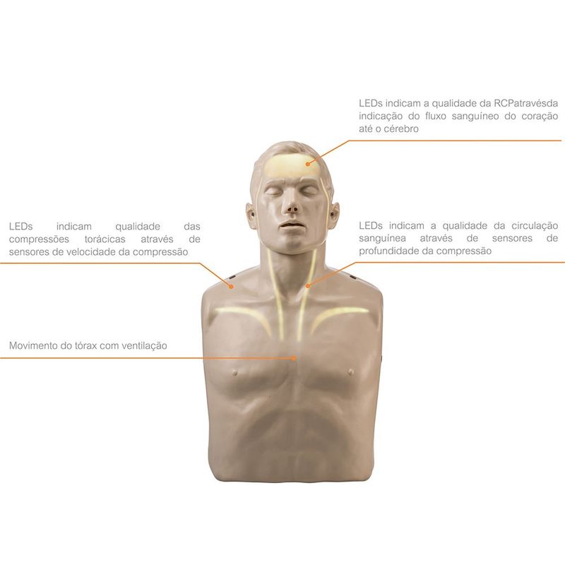 manequim-para-treinamento-de-rcp-brayden....centermedical.com.br