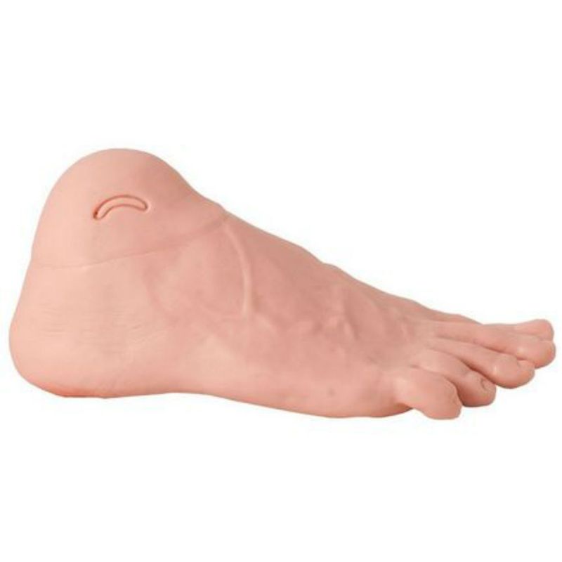 modelo-avancado-de-pe-diabetico-anatomic.centermedical.com.br