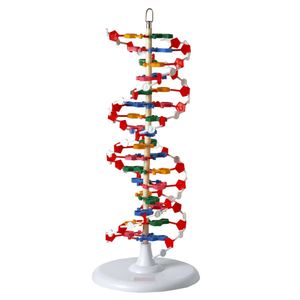Dupla Hélice de DNA