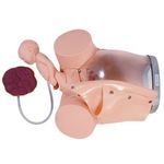 Simulador-de-Parto-com-Cervix-Episiotomia-e-Feto-com-Placenta-Center-Medical