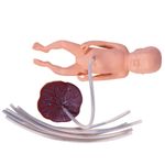 Simulador-de-Parto-com-Cervix-Episiotomia-e-Feto-com-Placenta-Center-Medical