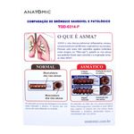 comparacao-de-bronquio-saudavel-e-patologico...centermedical.com.br