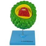 virus-hiv.centermedical.com.br
