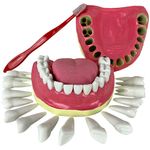denticao-com-todos-os-dentes-removiveis.centermedical.com.br