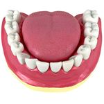 Denticao-com-Todos-os-Dentes-Removiveis-Center-Medical