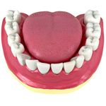 denticao-com-todos-os-dentes-removiveis..centermedical.com.br