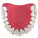 denticao-com-todos-os-dentes-removiveis...centermedical.com.br