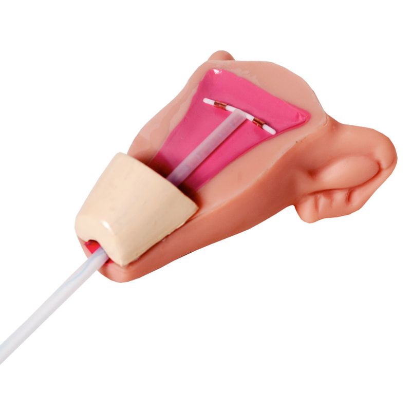 Simulador-para-colocacao-do-DIU-Center-Medical