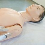 Manequim-Adulto-Bissexual-com-Orgaos-Internos-para-Treino-de-Enfermagem-Center-Medical