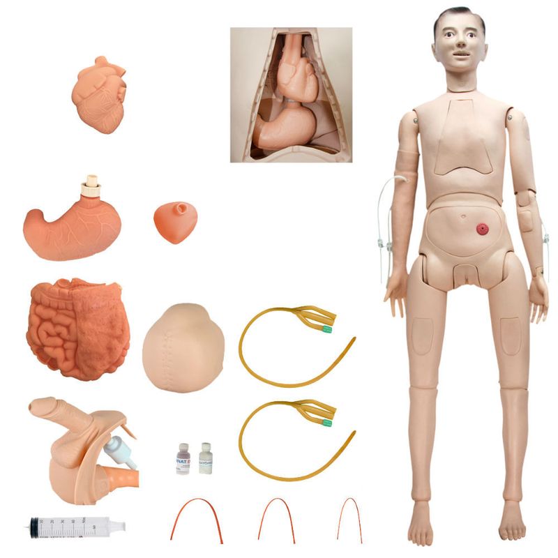 Manequim-Adulto-Bissexual-para-Treino-de-Enfermagem-com-Braco-Avancado-e-Orgaos-Internos-Center-Medical