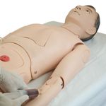 Manequim-Adulto-Bissexual-para-Treino-de-Enfermagem-com-Braco-Avancado-e-Orgaos-Internos-Center-Medical