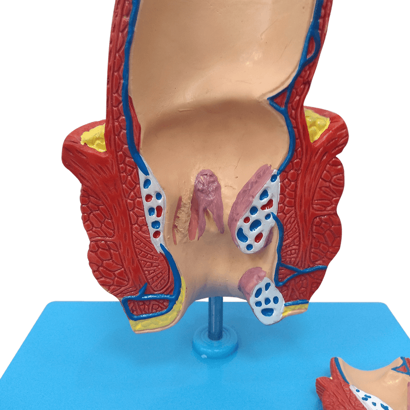 Reto-com-Patologias-Center-Medical1