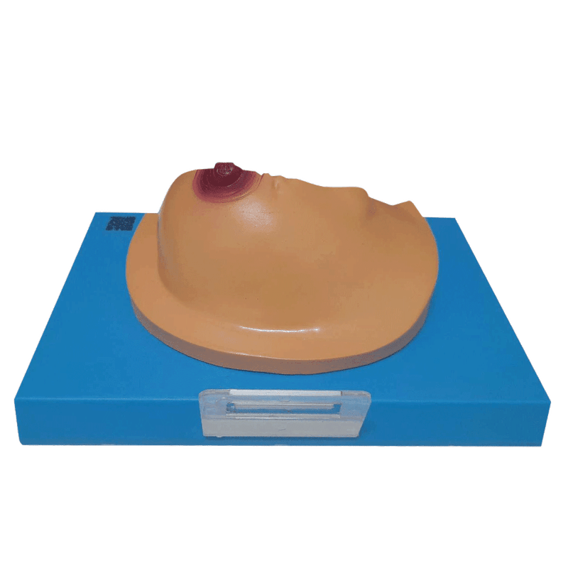modelo-de-mama-com-patologias-anatomic.centermedical.com.br2
