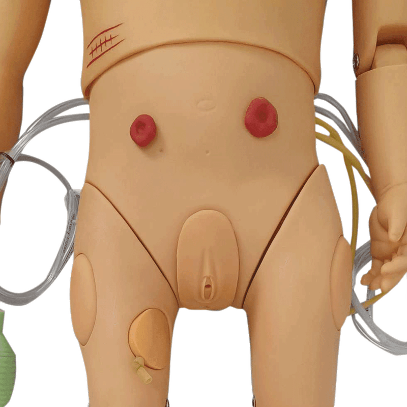 Manequim-Infantil-Bissexual-Simulador-para-Treino-de-Enfermagem-Center-Medical9