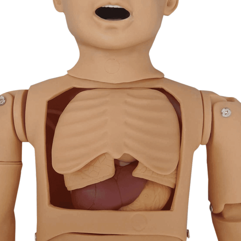 Manequim-Infantil-Bissexual-Simulador-para-Treino-de-Enfermagem-Center-Medical11