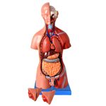 25-partes-Center-Medical