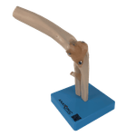 Articulacao-do-Cotovelo-com-Ligamentos-Center-Medical
