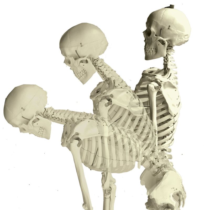 Esqueleto-168cm-c--Coluna-Flexivel-c--Suporte-e-Base-c--Rodas-Center-Medical