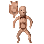 Manequim-Bebe-Bissexual-com-Orgaos-Internos-Simulador-para-Treino-de-Enfermagem-Center-Medical