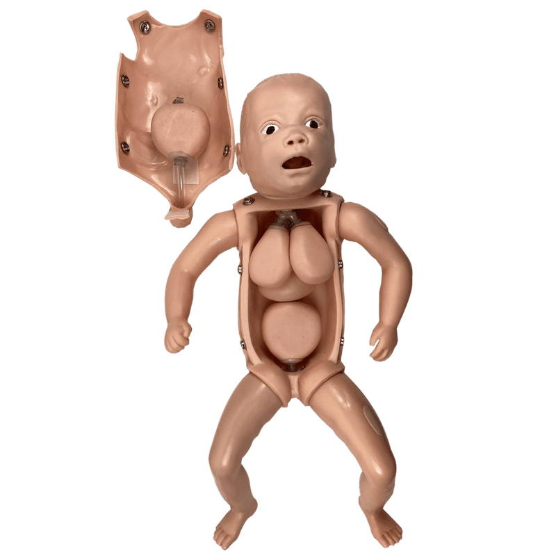 Manequim-Bebe-Bissexual-com-Orgaos-Internos-Simulador-para-Treino-de-Enfermagem-Center-Medical