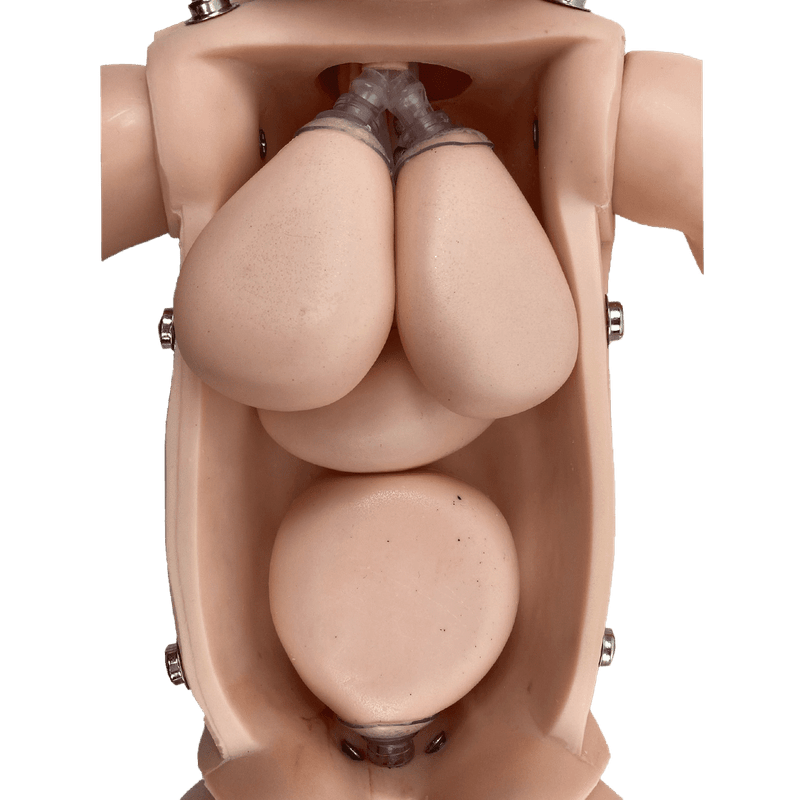 Manequim-Bebe-Bissexual-com-Orgaos-Internos-Simulador-para-Treino-de-Enfermagem-Center-Medical