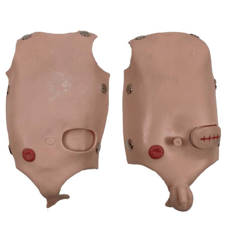Manequim-Bebe-Bissexual-com-Orgaos-Internos-Simulador-para-Treino-de-Enfermagem-Center-Medical