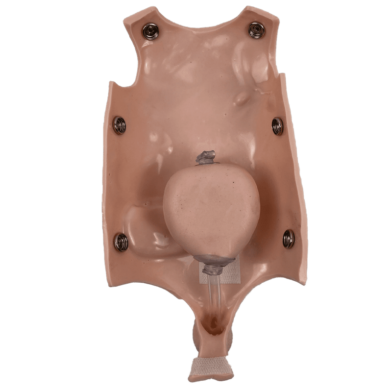 Manequim-Bebe-Bissexual-com-Orgaos-Internos-Simulador-para-Treino-de-Enfermagem-Center-Medical