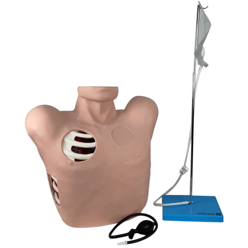 Simulador-Torso-para-Treino-de-Drenagem-Pleural-Center-Medical