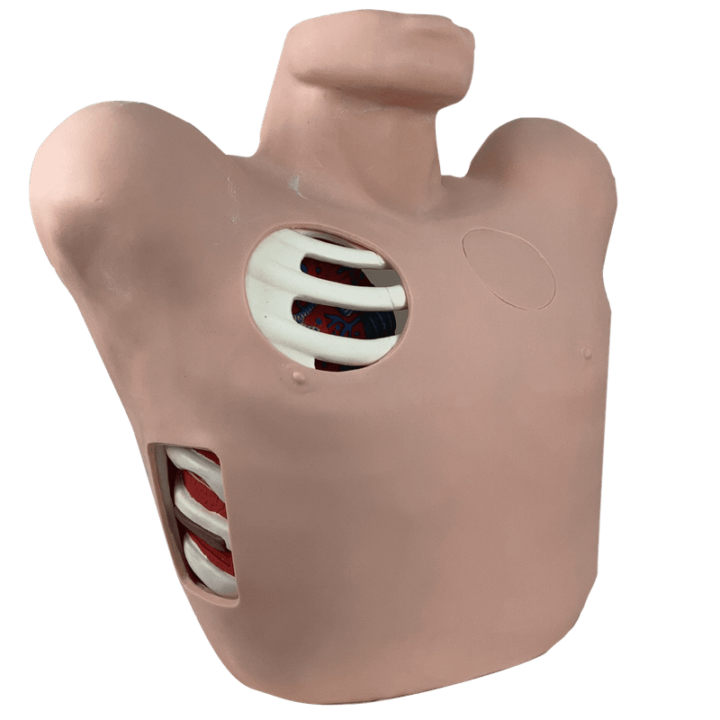 Simulador-Torso-para-Treino-de-Drenagem-Pleural-Center-Medical