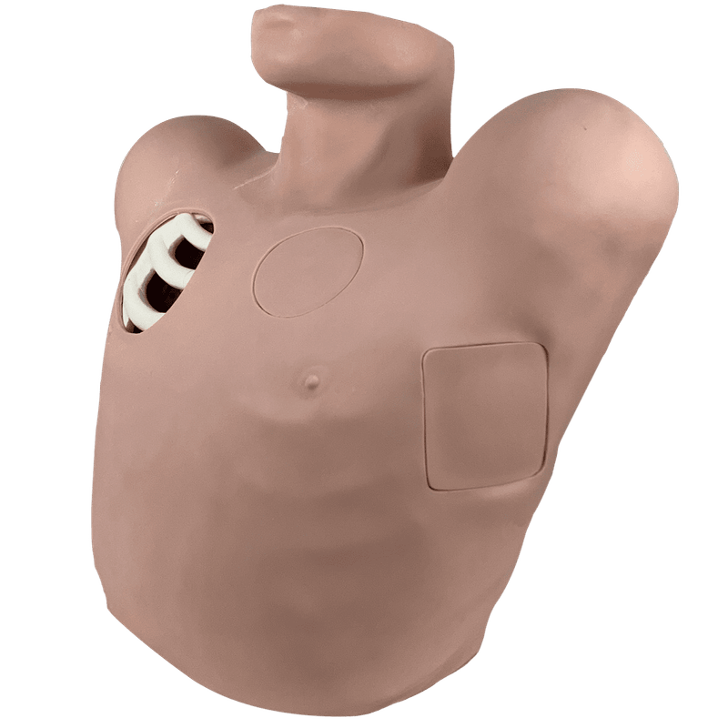 Simulador-Torso-para-Treino-de-Drenagem-Pleural-Center-Medical