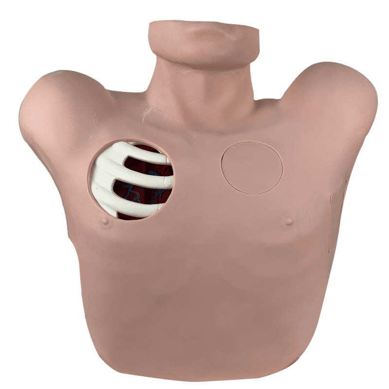 Simulador-Torso-para-Treino-de-Drenagem-Pleural-Center-Medical