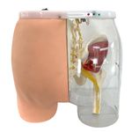 Simulador-para-Treino-de-Injecao-Intramuscular-no-Gluteo-com-Visualizacao-da-Estrutura-Interna-e-Dispositivo-de-Sinalizacao-de-Advertencia-Center-Medical