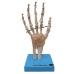 Articulacao-da-Mao-Center-Medical