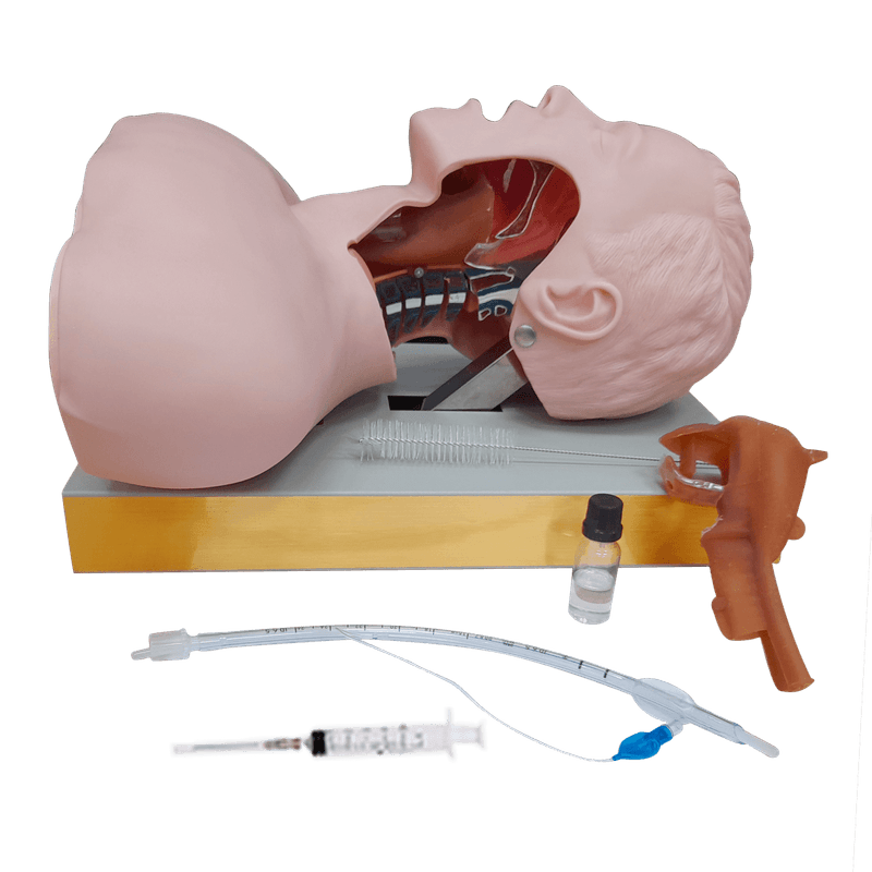 Simulador-para-Treino-de-Intubacao-Traqueal-com-Visualizacao-das-Vias-Aereas-Center-Medical